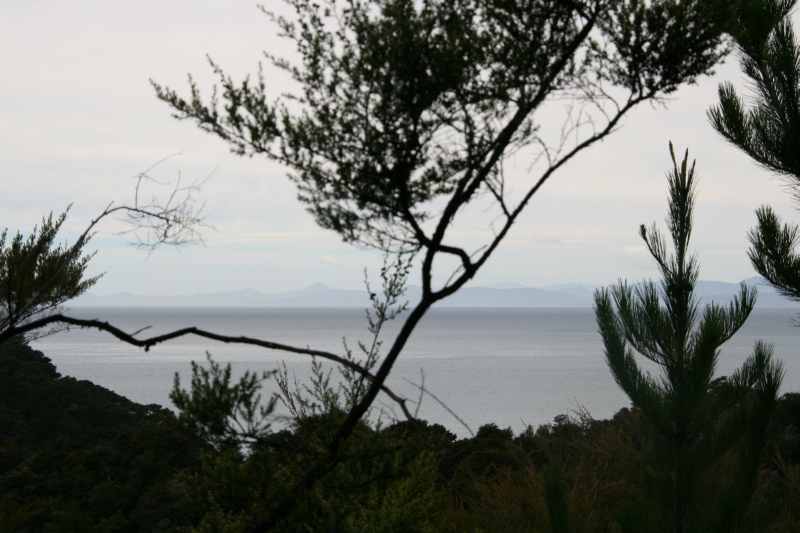 Nieuw-Zeeland 2011 - 1032